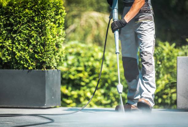 Best Sidewalk and Walkway Cleaning  in Newton, NC